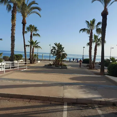 Torrox *
